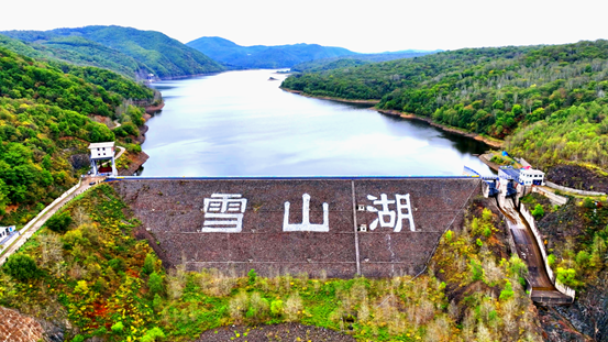 两江水利枢纽工程（用图）.png